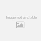 Excel ThinAir Part TA 4 (Stock # 234.8) Cover Knockout Gasket